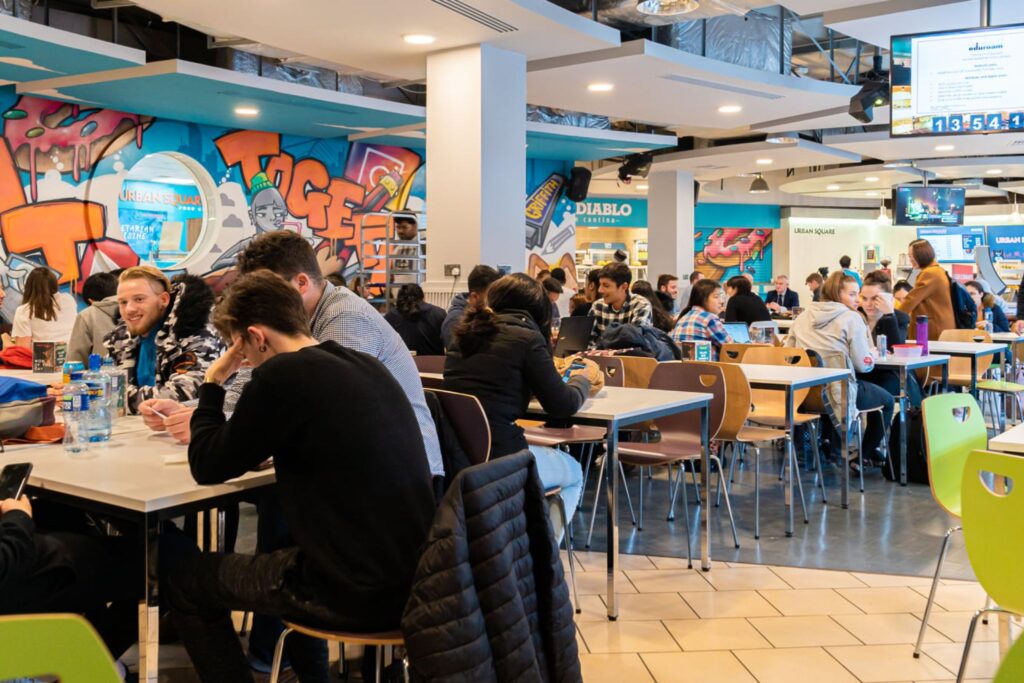 Education Sector Contract Catering Services for Schools, Colleges, and Universities