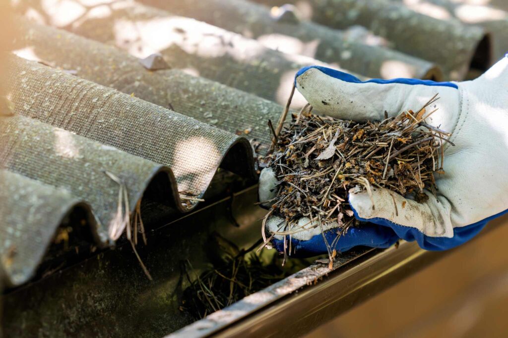 specialised cleaning service gutter cleaning